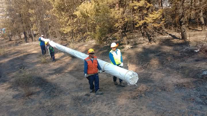 Incendios Zona Sur Año 2017